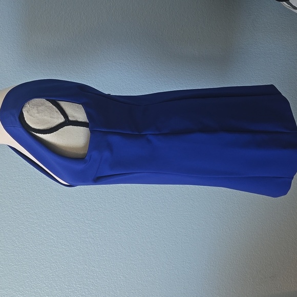 ZARA WOMAN Royal Blue Mini Dress Back Zip Sleeveless Deep V Neck & Back Sz Large - Picture 4 of 14